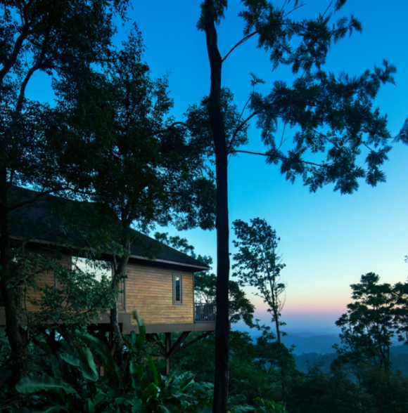The Tamara Resort