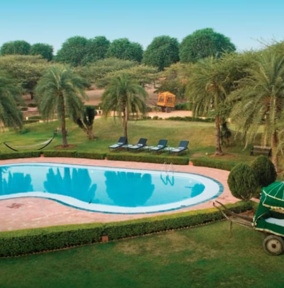 Clarks Safari Pushkar