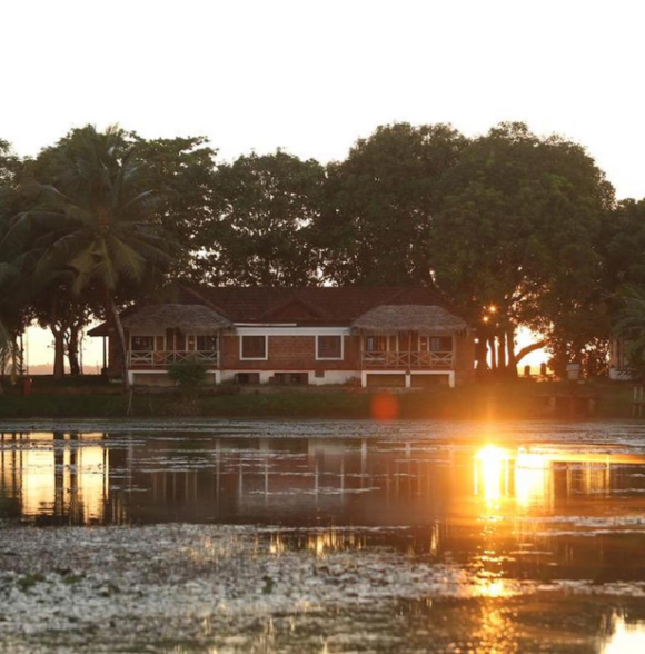Coconut Lagoon