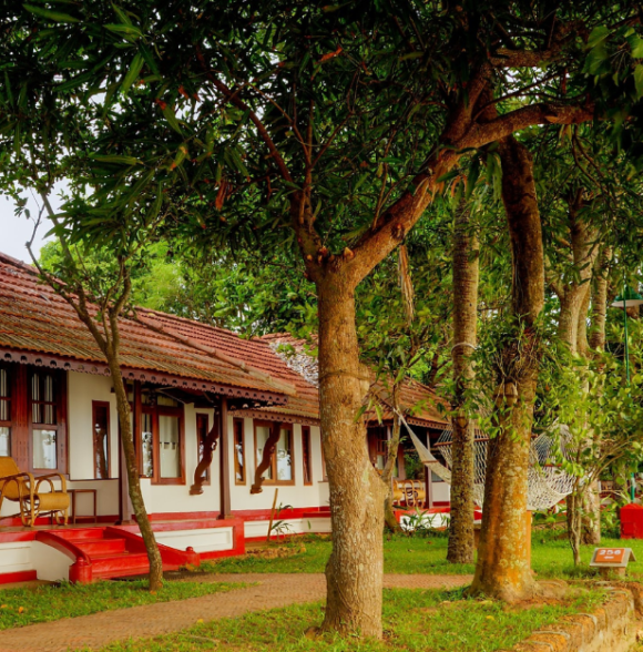 Coconut Lagoon