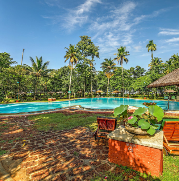 Coconut Lagoon