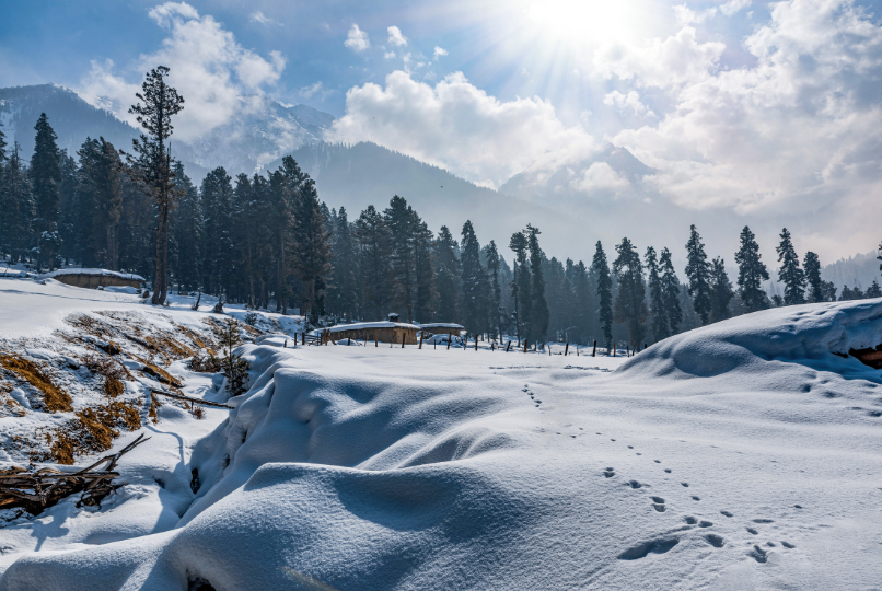 Jammu & Kashmir