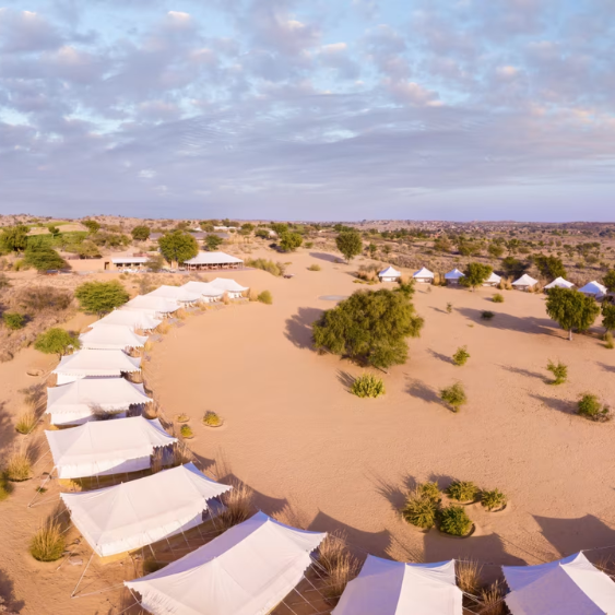 Manvar Sevan, The Desert Camp