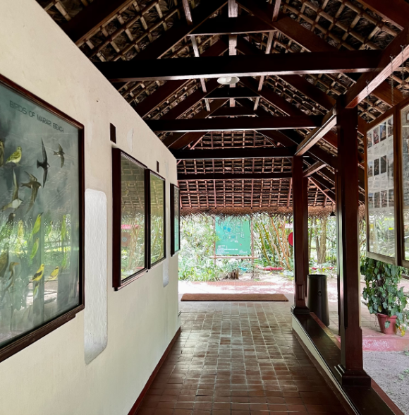 Marari Beach Resort