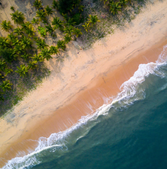 Marari Beach Resort