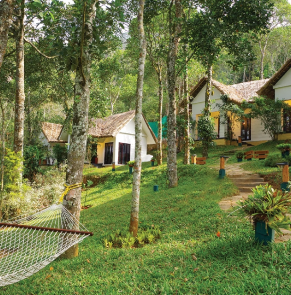 Niraamaya Retreats Cardamon Club