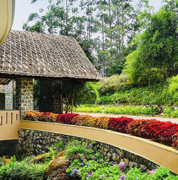 Poetree Thekkady