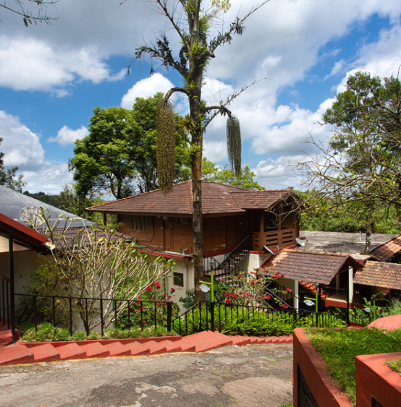 Porcupine Castle Resort