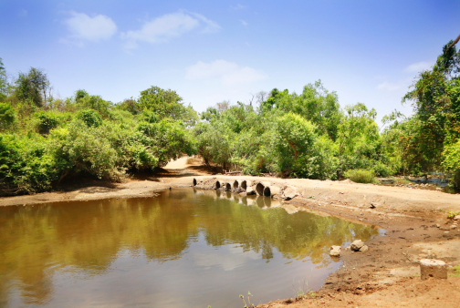 Sasan Gir