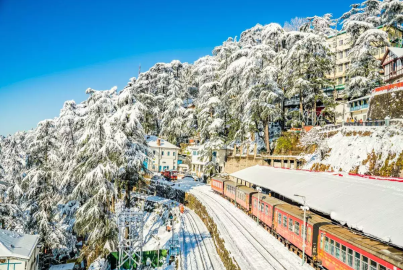 Shimla