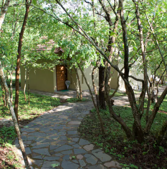 The Windflower Jungle Resort & Spa Bandipur