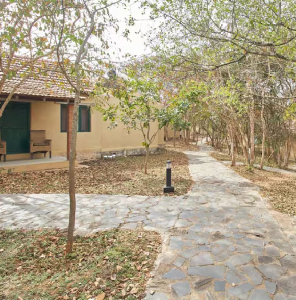 The Windflower Jungle Resort & Spa Bandipur