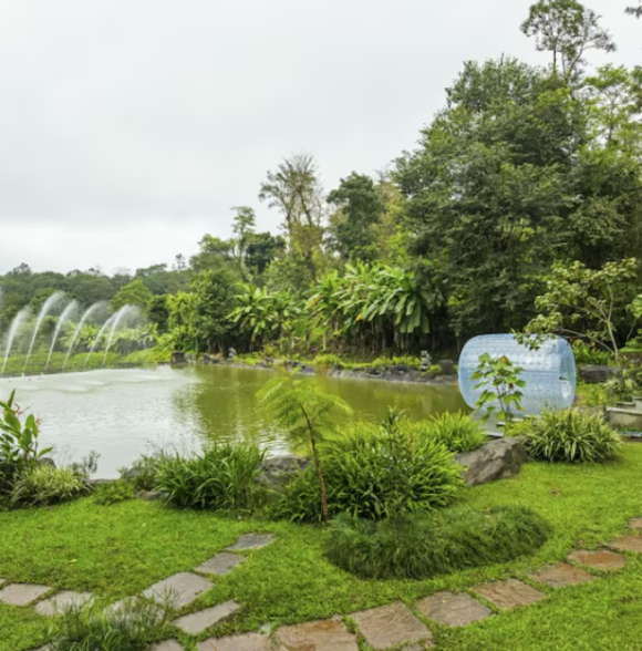The Windflower Resorts And Spa Coorg