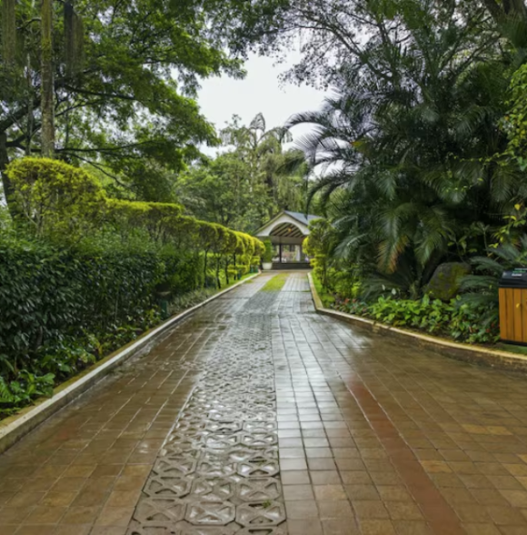The Windflower Resorts And Spa Coorg