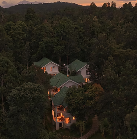 The Woods Resort