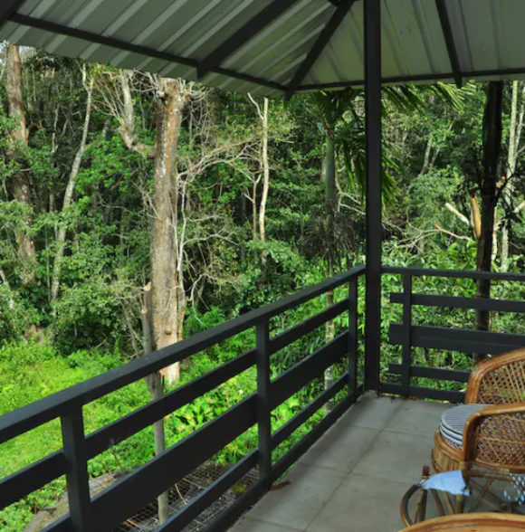 The Woods Resort