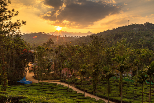 Vythiri (Wayanad)