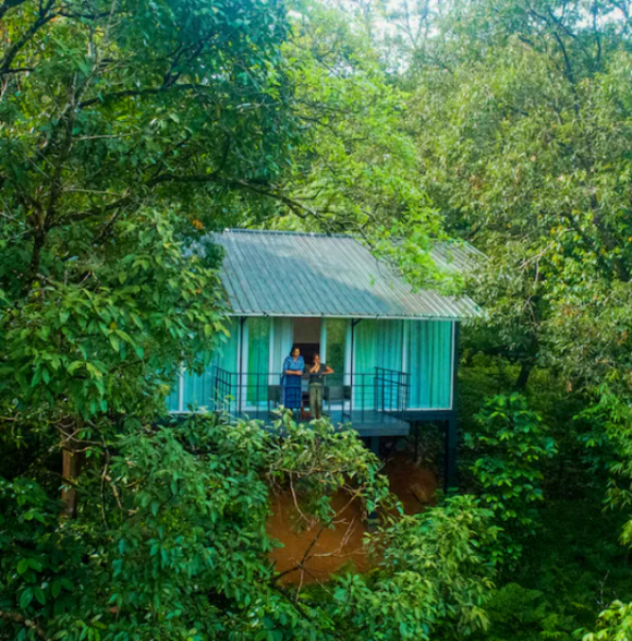 Wayanad Wild
