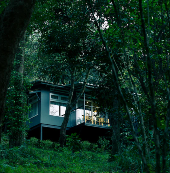 Wayanad Wild