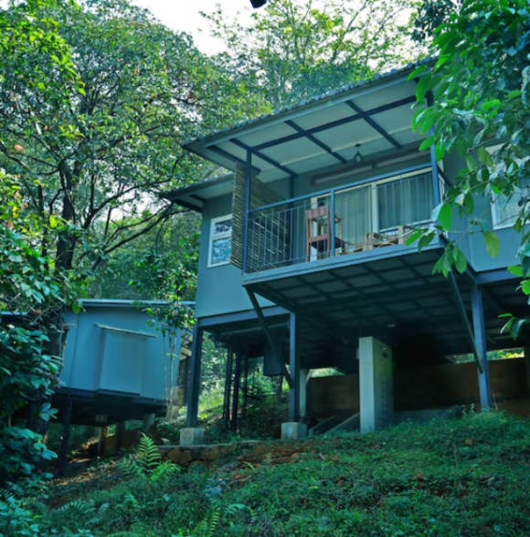 Wayanad Wild