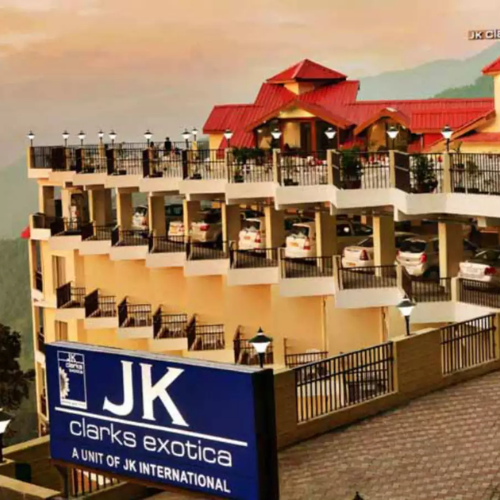 JK Clarks Exotica