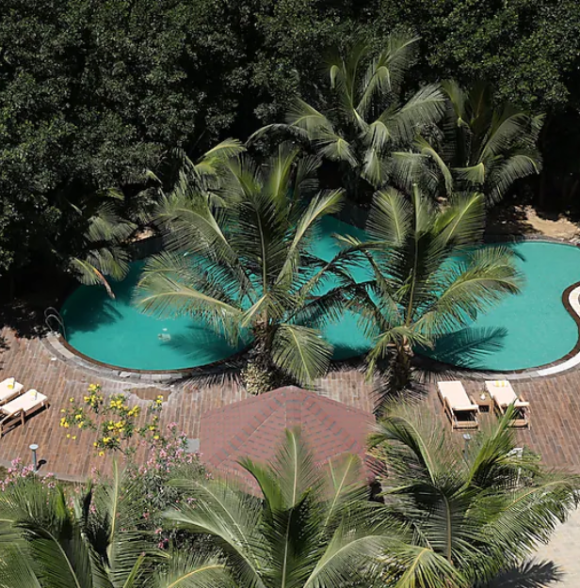 The Fern Sattva Resort