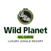 Wild Planet Jungle Resort