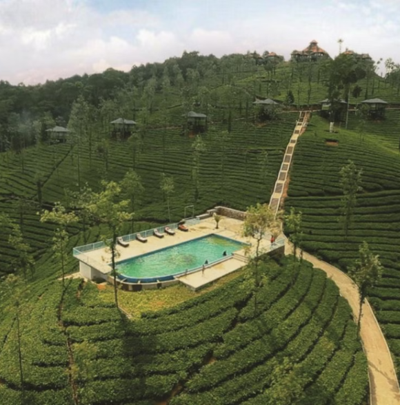 Wild Planet Jungle Resort