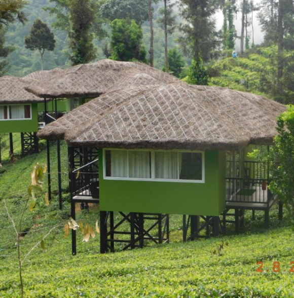 Wild Planet Jungle Resort
