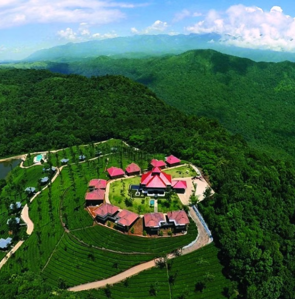Wild Planet Jungle Resort