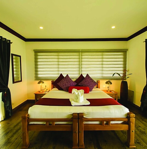 Wild Planet Jungle Resort