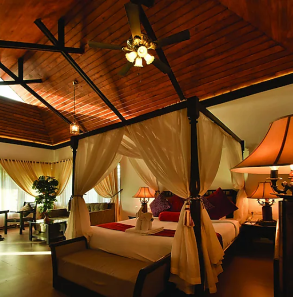 Wild Planet Jungle Resort
